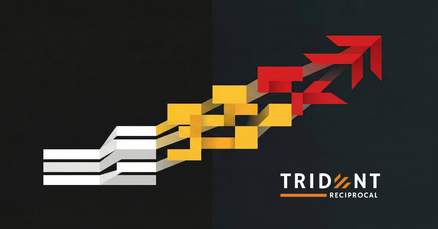 custom software for insurance company